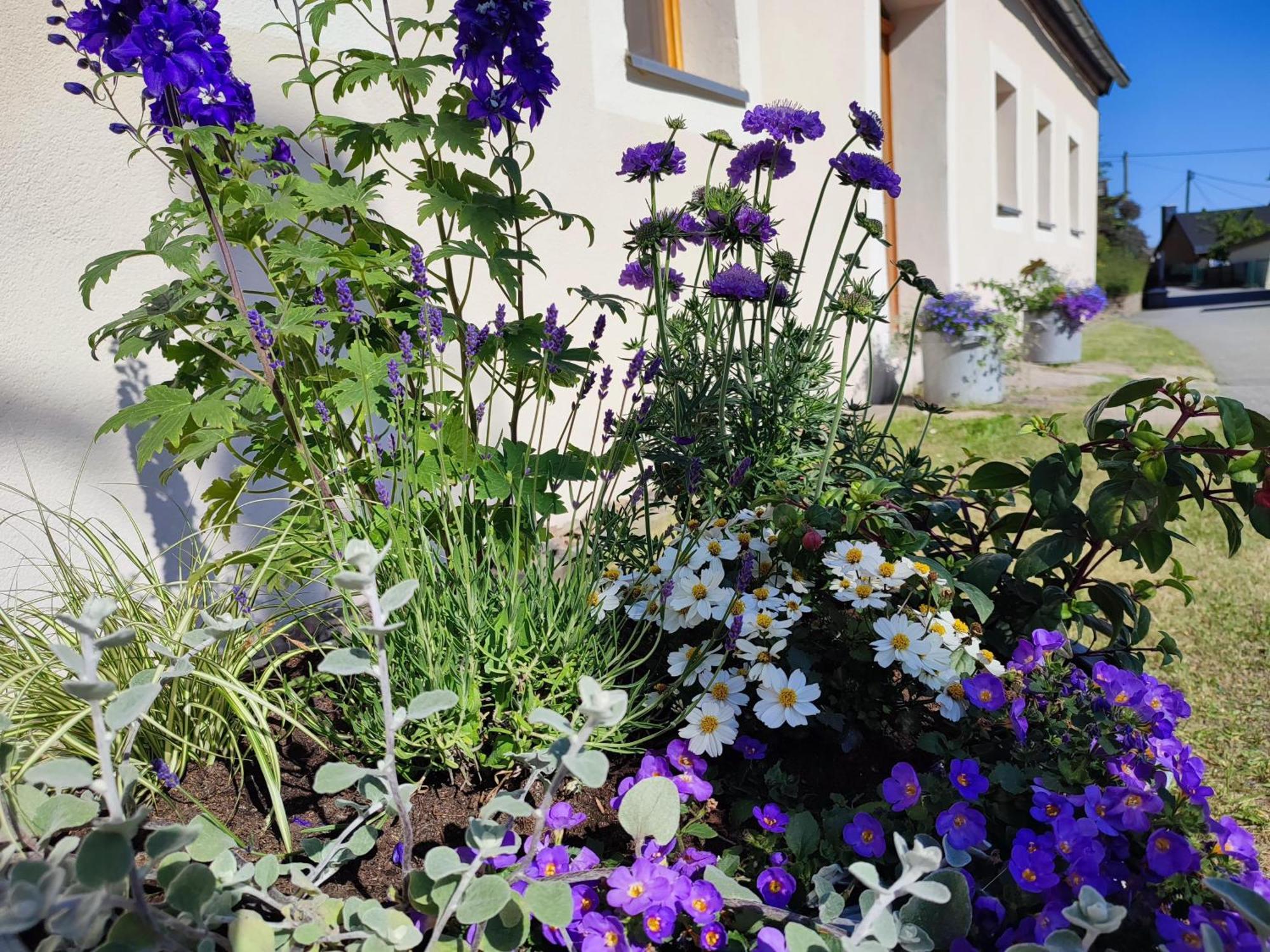 Ferienhaus "De Sieme" Olbernhau Exteriér fotografie